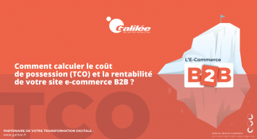 Comment calculer le coût de possession et la rentabilité de votre site e-commerce B2B ?